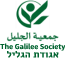 The Galilee Society - Empowering The Arab Community In Israel
